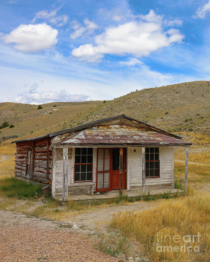 Home On The Range Bannack Montana Vert Photograph by Edward Fielding