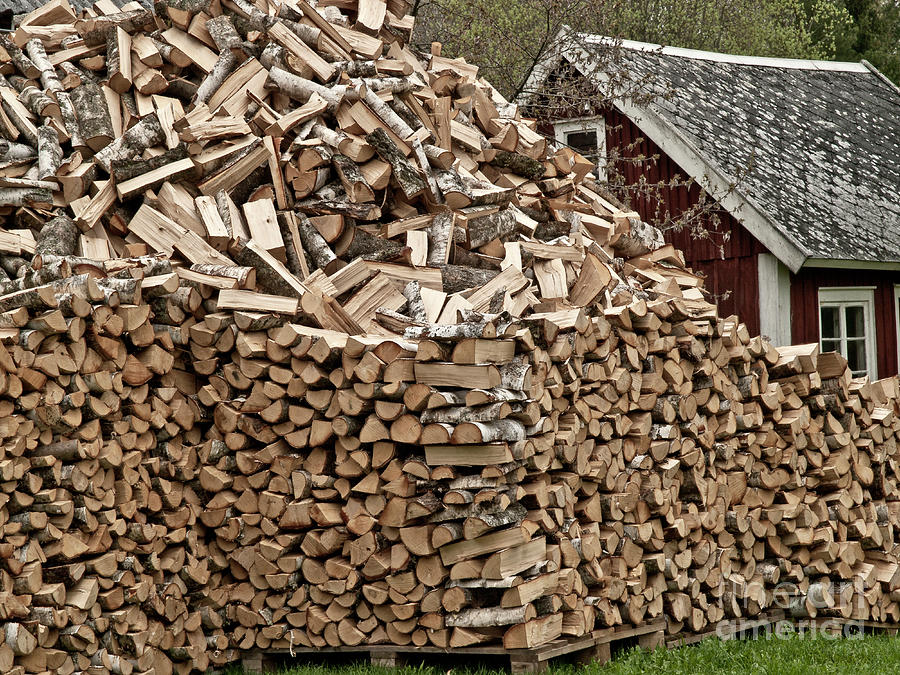 Home Sweet Home - Mountain Of Fire Wood For Winter Filed In Spring Photograph