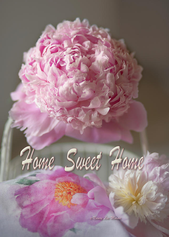 Home Sweet Home with Pink Peonies Photograph by Nancy Lee Moran