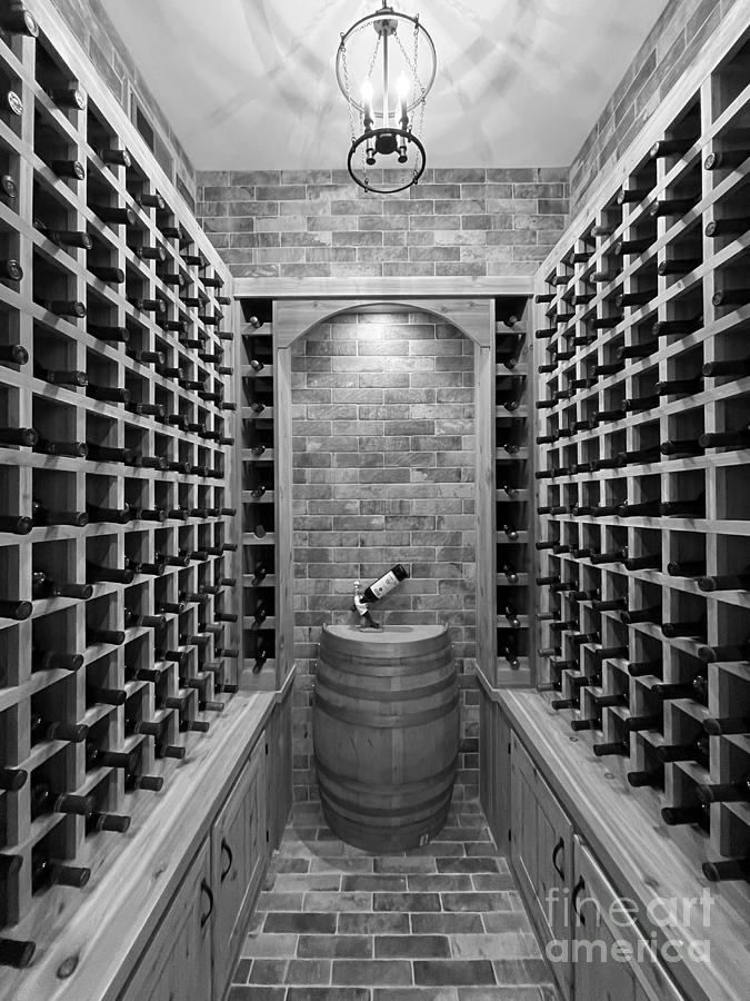 Home Wine Cellar  5992bw Photograph by Jack Schultz