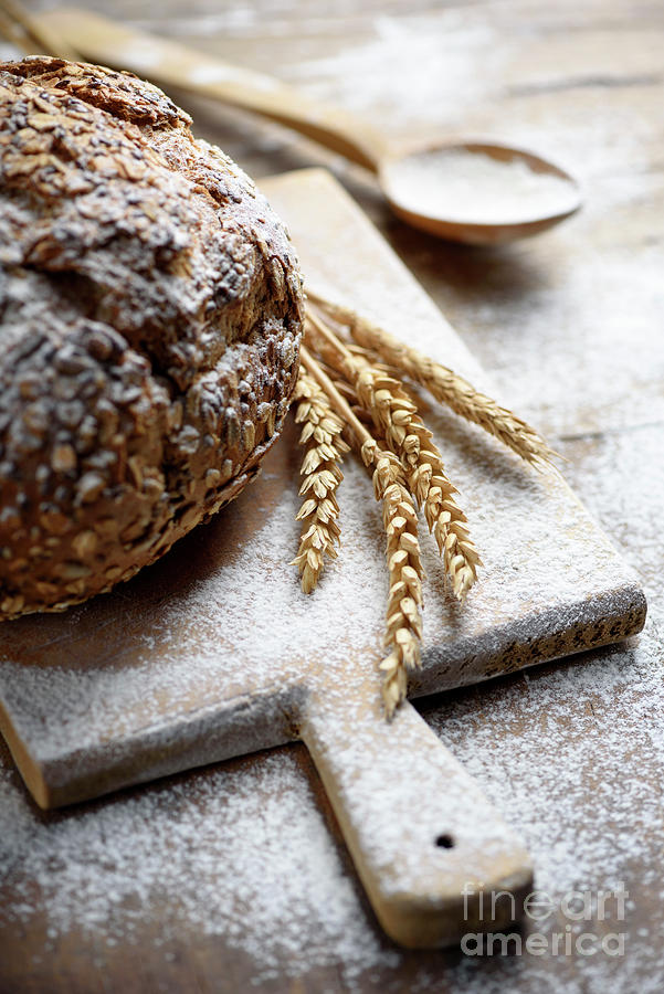 Homemade bread with cereals Photograph by Jelena Jovanovic