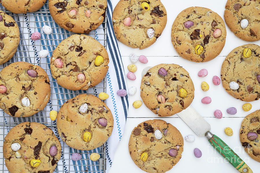 Homemade Chocolate Mini Egg Cookies Pattern Photograph by Tim Gainey