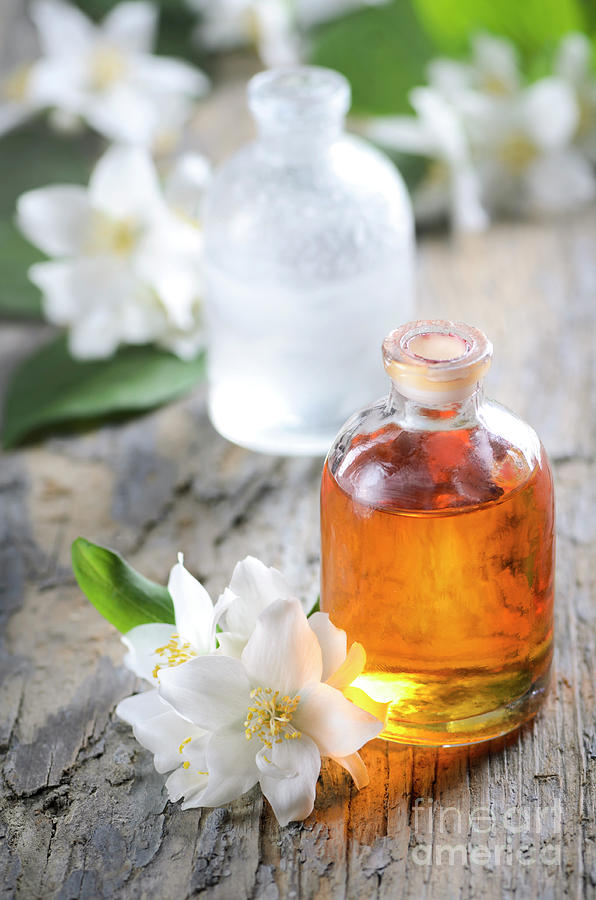 Homemade Essential oil and fresh jasmine flower Photograph by Jelena Jovanovic