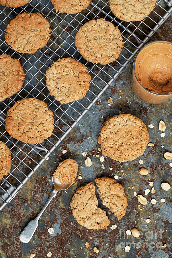 Homemade Peanut Butter Cookies Photograph by Tim Gainey