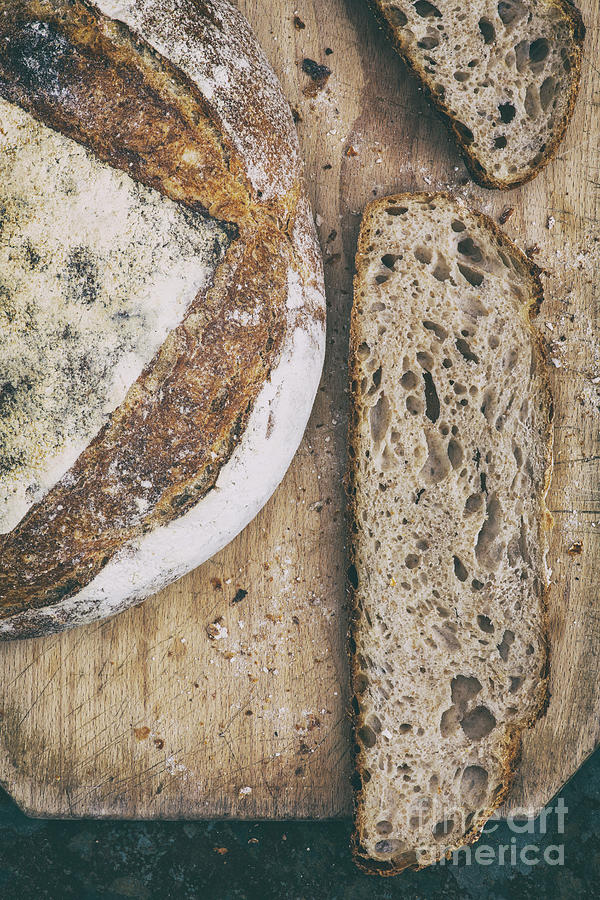 Sourdough Bread Pattern Photograph by Tim Gainey