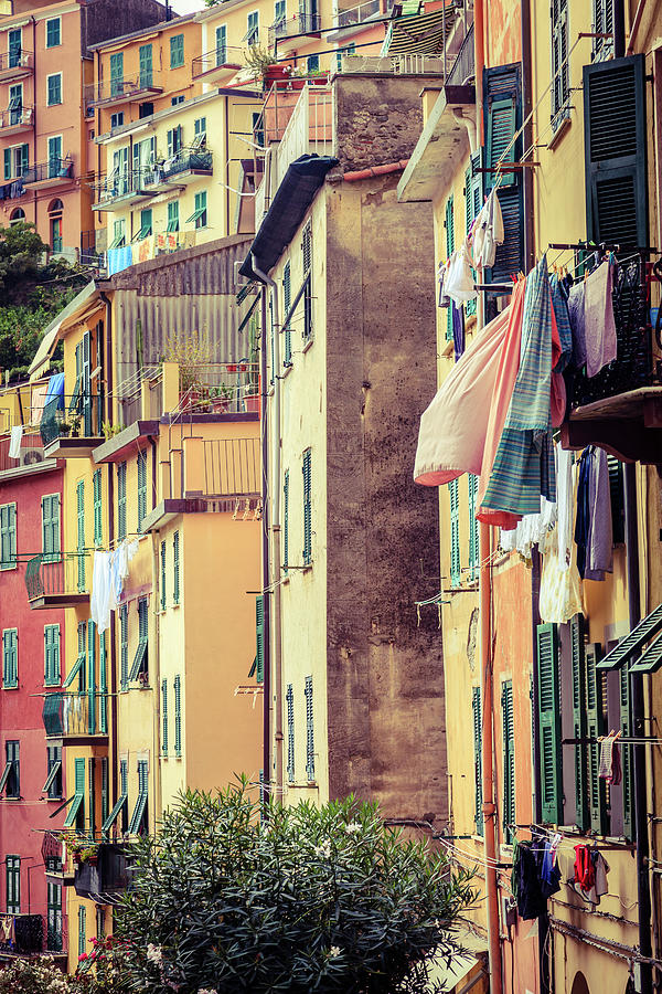 Homes of Cinque Terre Photograph by Alexey Stiop