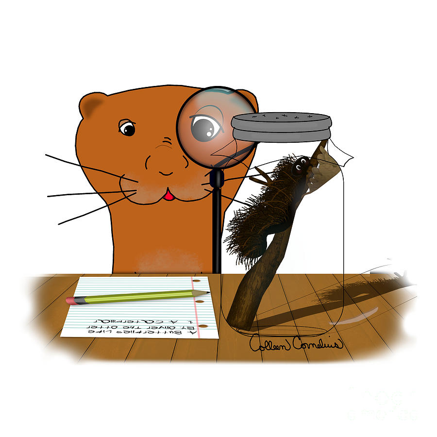 Homeschooling Oliver The Otter - The Caterpillar Digital Art by Oliver The Otter