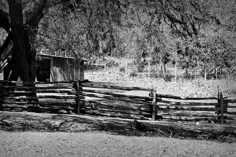 Homestead 1869 Barn in Black and White Photograph by Nadalyn Larsen