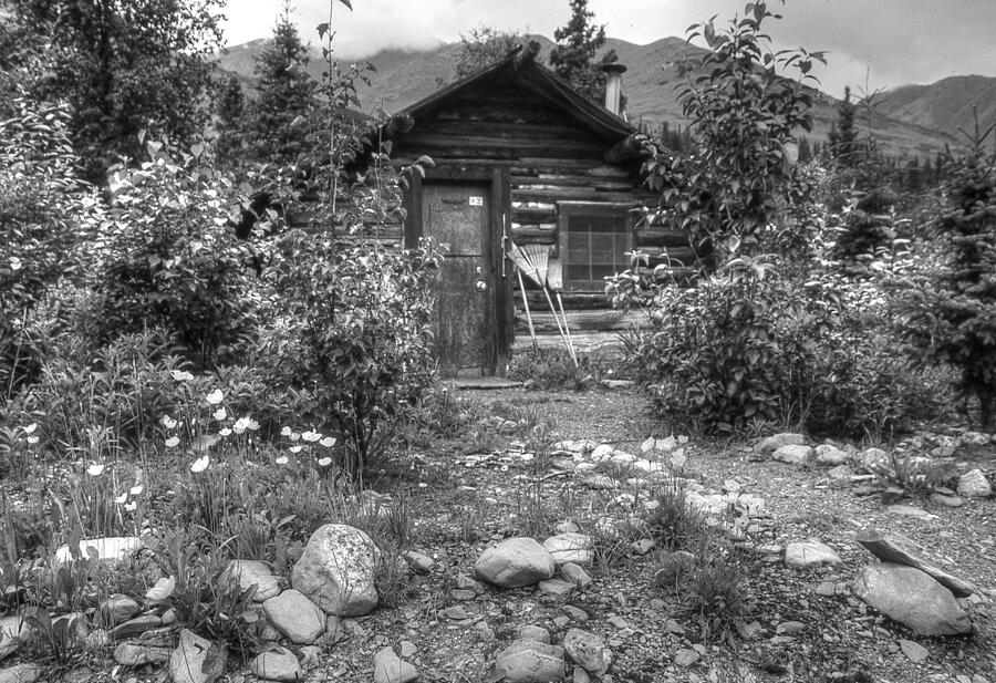 Homestead Cabin in Alaska Photograph by Lawrence Christopher