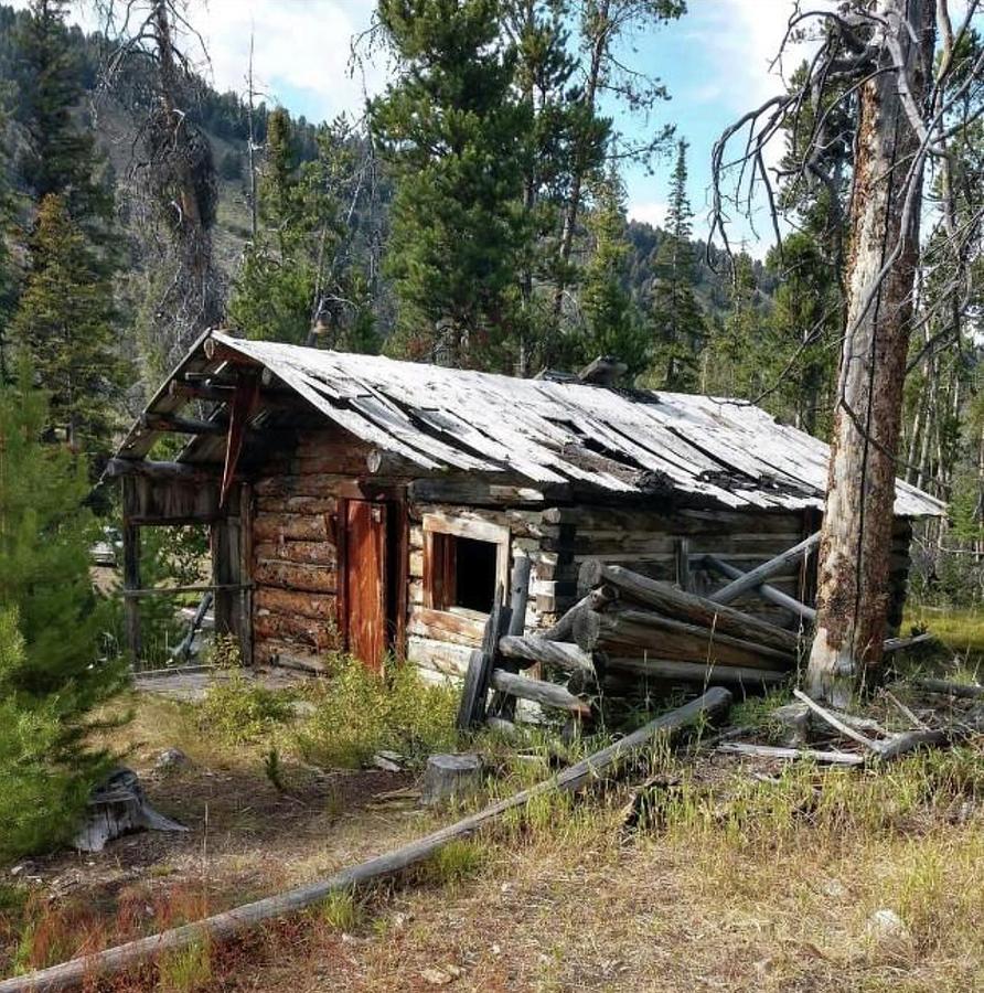 Homestead Cabin Photograph by Kimberly Clough - Fine Art America