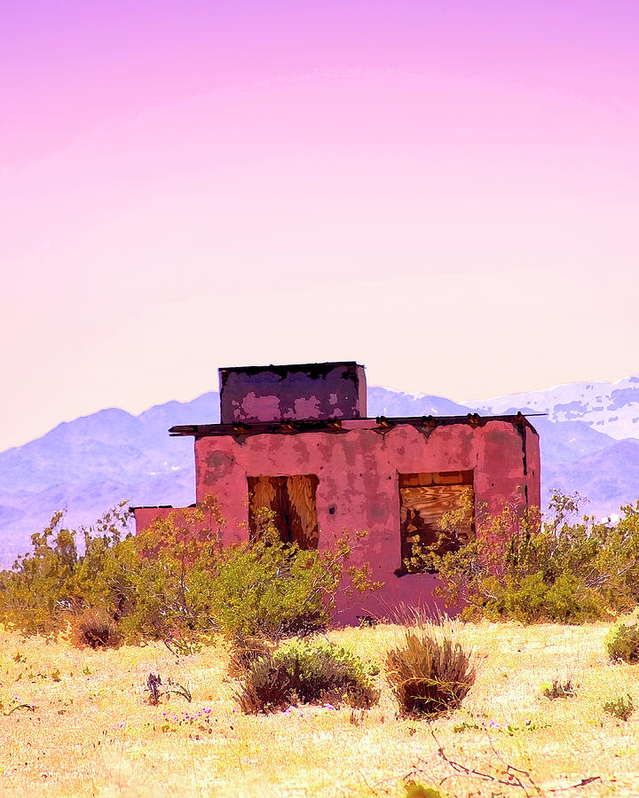 HOMESTEAD HEARTACHE Desert Hot Springs CA Photograph by William Dey