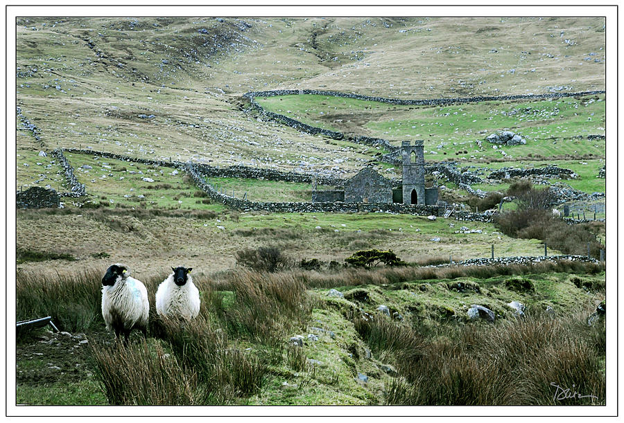 Homestead in Ireland Photograph by Peggy Dietz