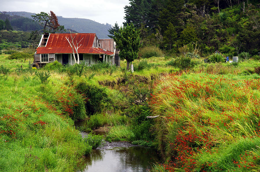 Homestead - New Zealand Photograph by Kenneth Lane Smith