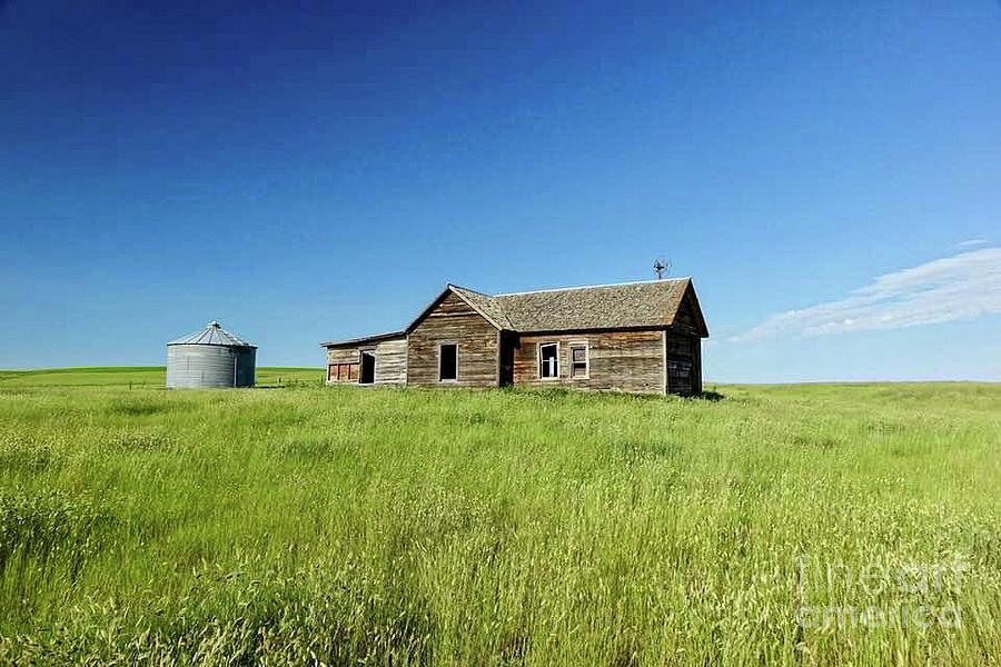 Homestead MT Photograph by Kelly Sedgwick | Pixels