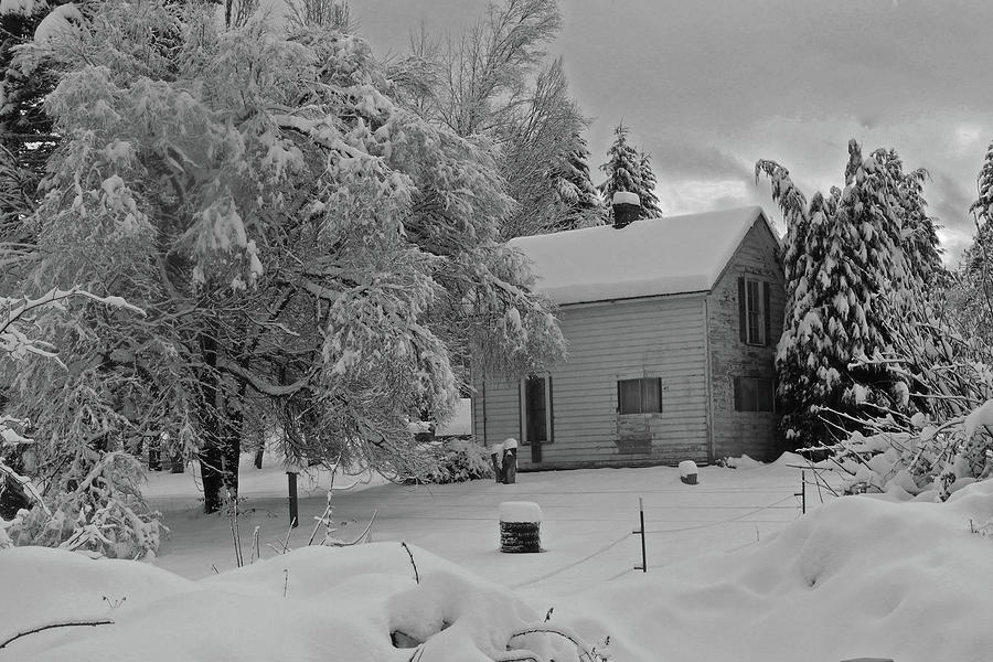 Black And White Photograph - Homestead by Robin Lea Thompson