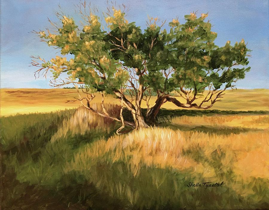 Homestead Tree Painting by Sheila Tysdal