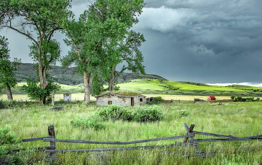 Homesteading in Rural Montana Photograph by Marcy Wielfaert