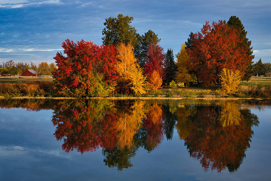 Hometown fall colors Photograph by Lynn Hopwood