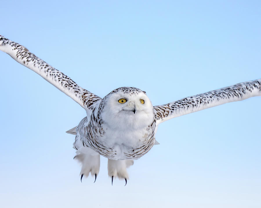 Homeward Bound Photograph by James Overesch - Fine Art America