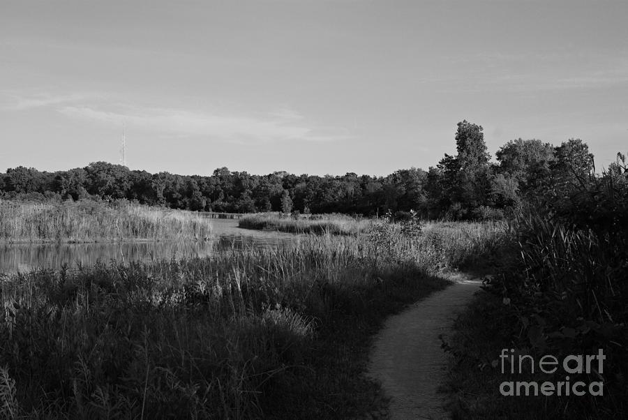 Homewood Izaak Walton Prairie Lake - Black And White Photograph