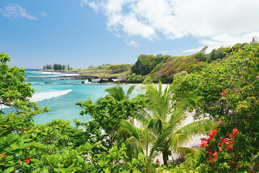 Homoa Beach Hawaii Photograph by Michael and Monica Sweet - Fine Art ...