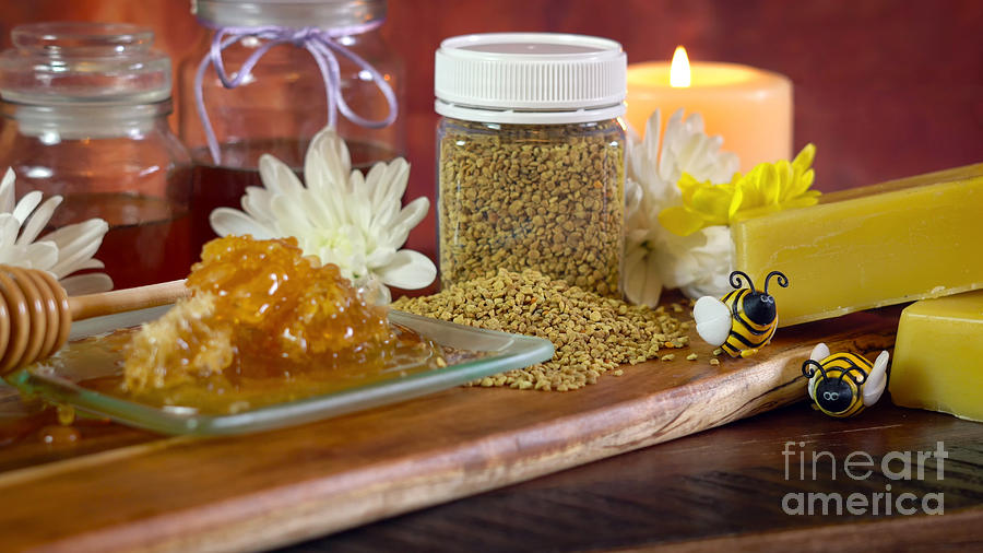 Nature Photograph - Honey and related products including honeycomb, beeswax and pollen close up. by Milleflore Images