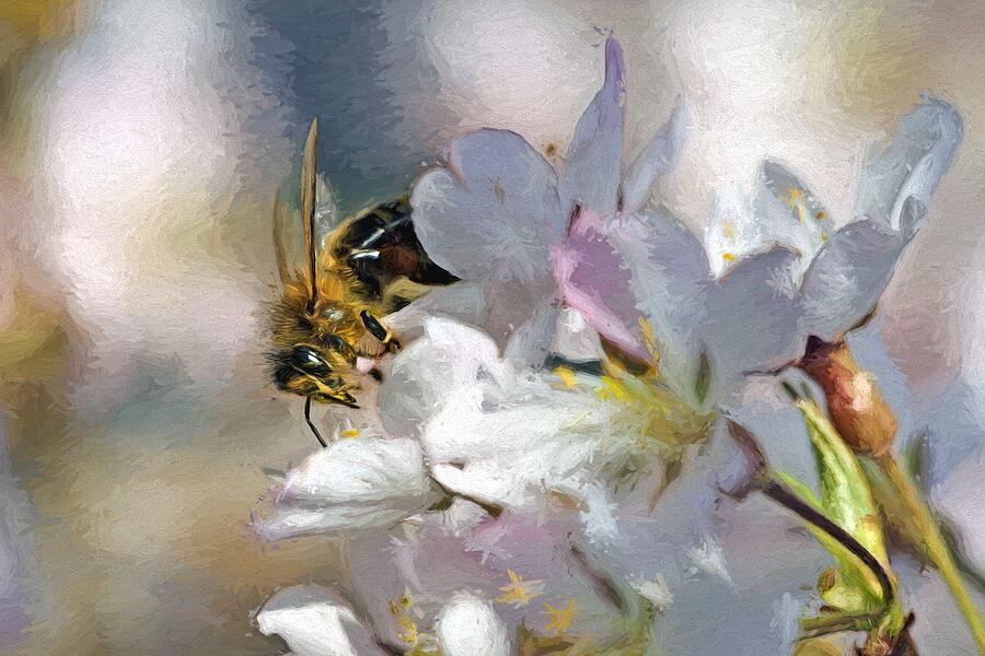Honey Bee 2 Digital Art by Jerry Dalrymple Honey Bee 2 Digital Art by Jerry Dalrymple