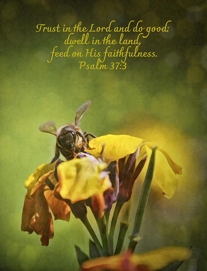 Honey Bee and Psalms Scripture Photograph by Gaby Ethington | Pixels