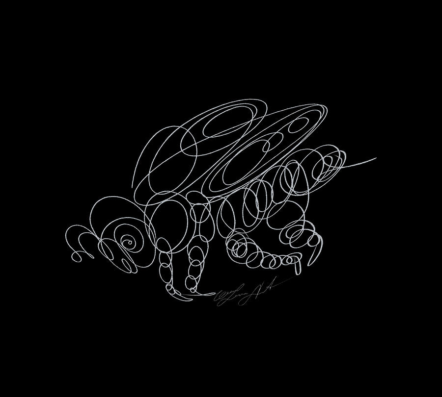 Honey Bee Line Drawing Transparent On Dark Background Drawing
