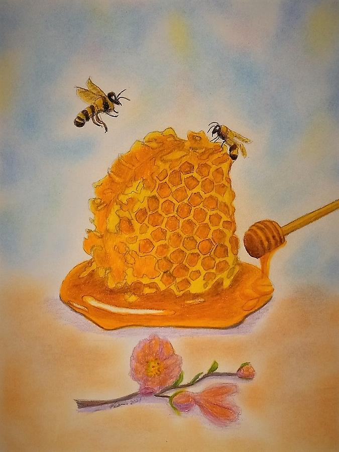 Honey Bee Mine Drawing by Angela Davies