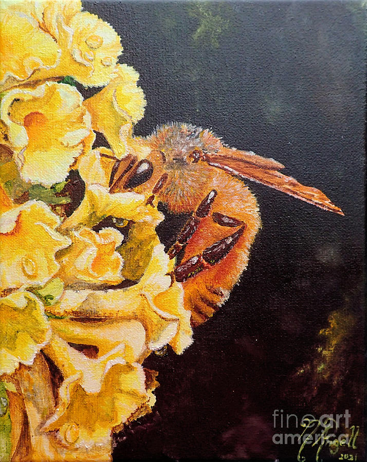 Honey bee on Honeycomb buddleia Painting by Nicole Angell