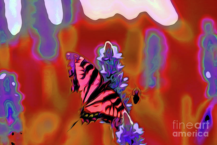 Honey bee plays with Butterfly 17 Digital Art by Chris Taggart - Fine ...