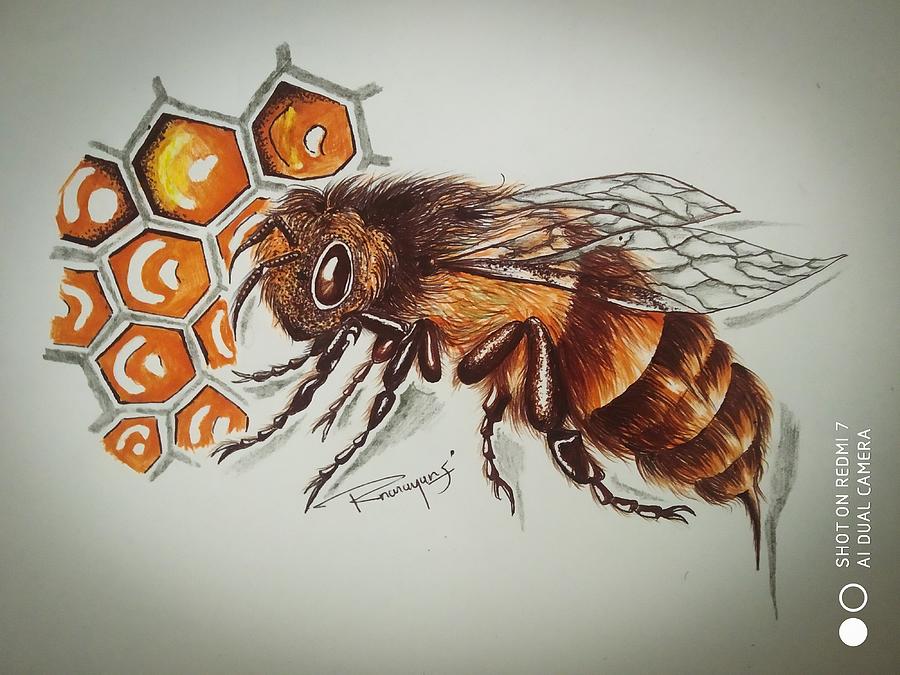 Honey Bee Framed Original Drawing – Wildlife Drawings by Jim Wilson-saigonsouth.com.vn