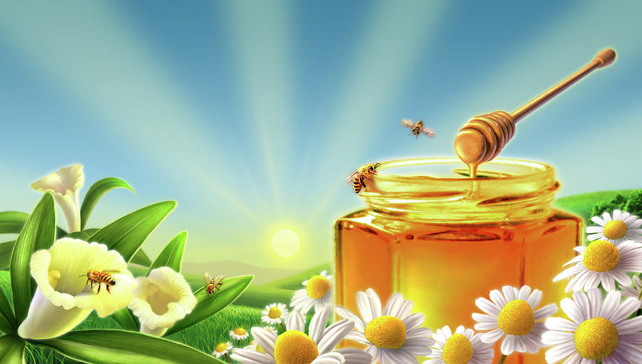 Jar Digital Art - Honey Bee Sunrise by Jerry LoFaro