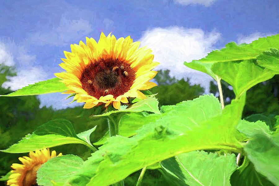 Honey Bees and Sunflower Painting Photograph by Carol Montoya - Fine ...