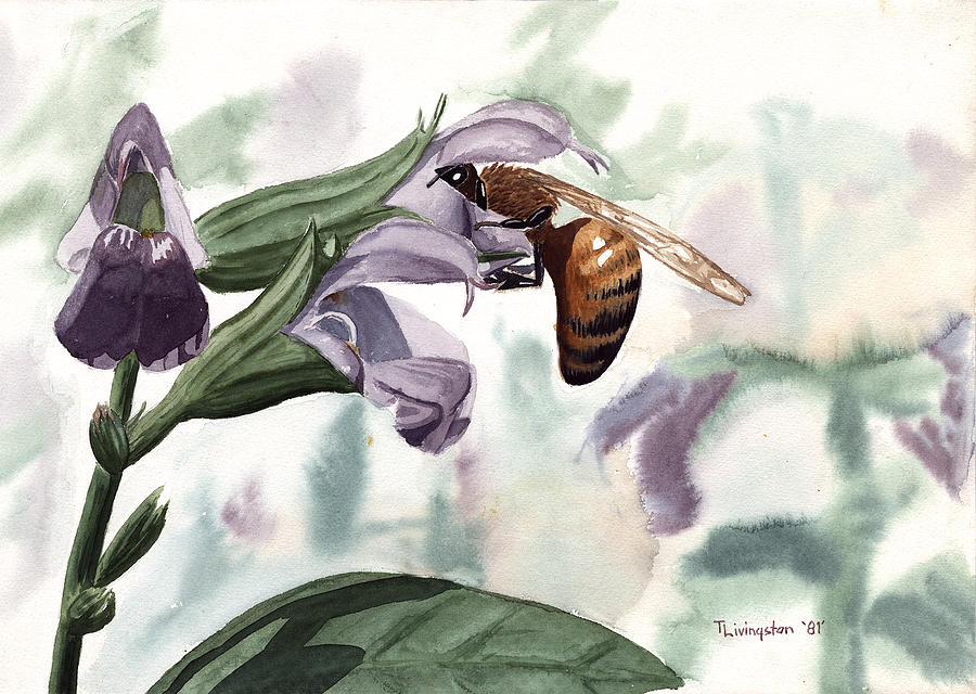 Honeybee in Rosemary Painting by Timothy Livingston