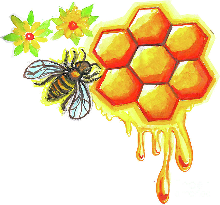 Honeycomb Flower With Bee Painting by Genevieve Esson - Fine Art America