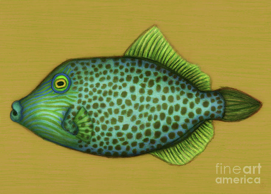 Honeycomb Leatherjacket Painting by Amy E Fraser