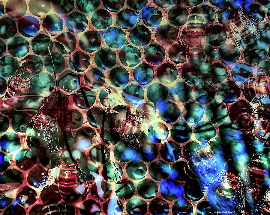 Honeycomb Digital Art by Norman Brule