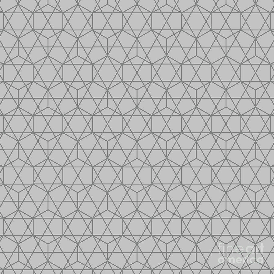 Honeycomb With Star Grid Pattern in Silver Sand And Granite Gray n.2475 Painting by Holy Rock Design