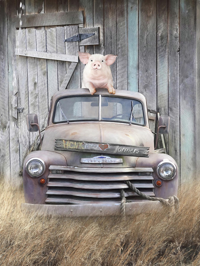 Honk if You Love Farmers Mixed Media by Lori Deiter