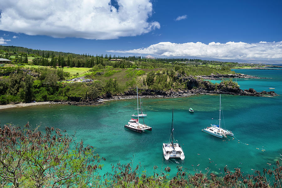Honolua Bay Maui Photograph by David L Moore
