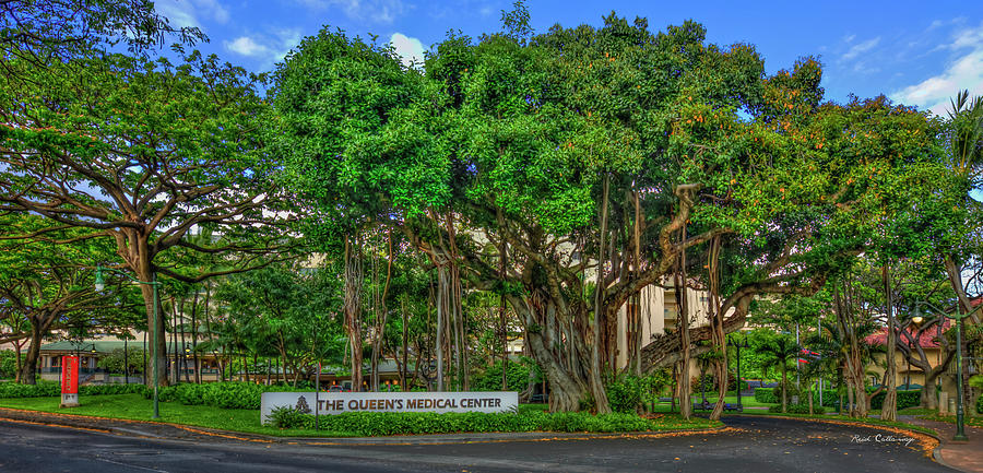 Honolulu Hawaii The Queens Medical Center 888 Panorama Architectural Landscape Art Photograph by Reid Callaway