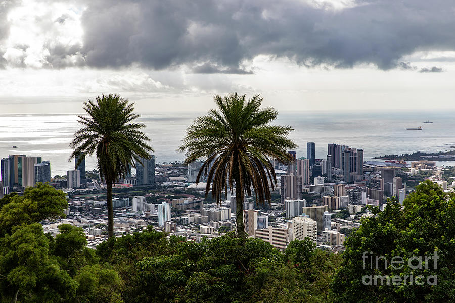 Honolulu Skyline Photograph by Erin Marie Davis