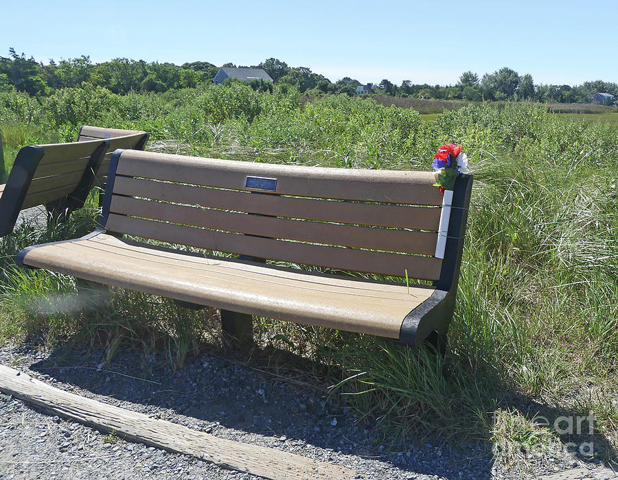 Honor Bench Photograph by Sharon Williams Eng