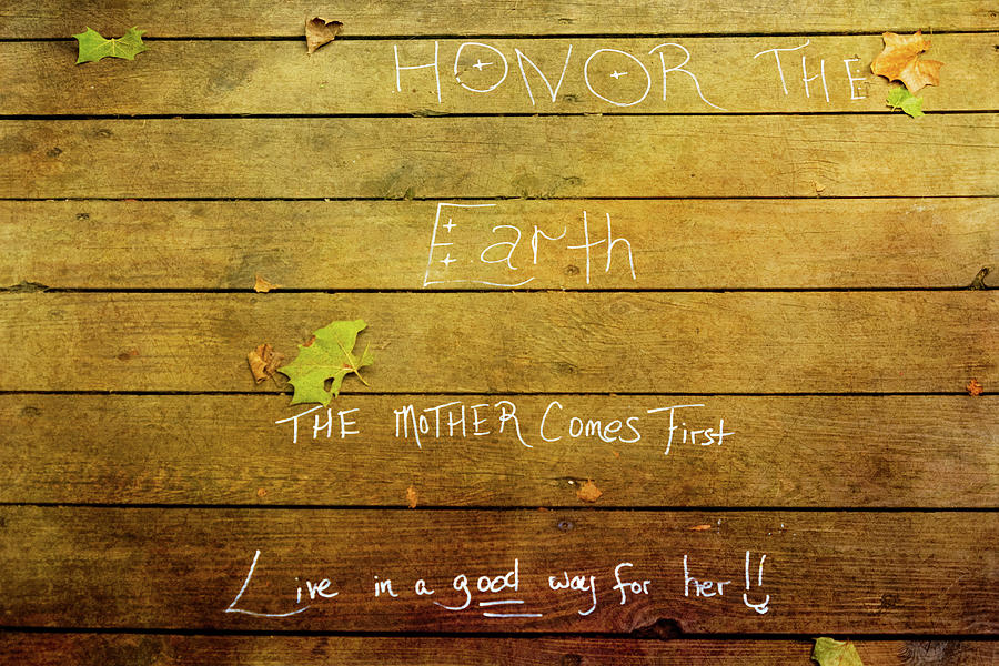 Honor The Earth Photograph by Debra Martz
