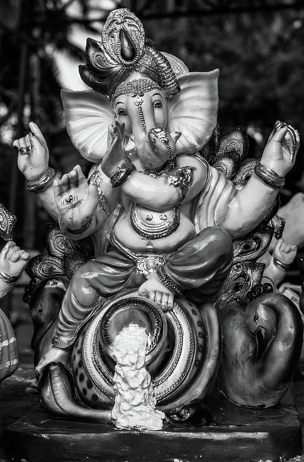 Honor to Ganesha Photograph by Josu Ozkaritz