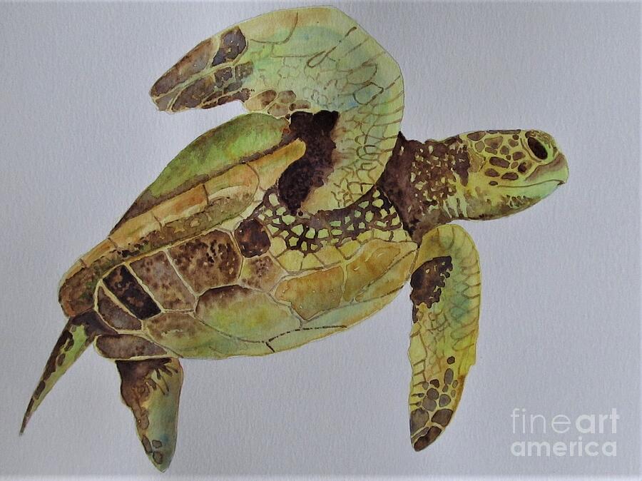 Honu Painting by Katrina Pierce - Fine Art America