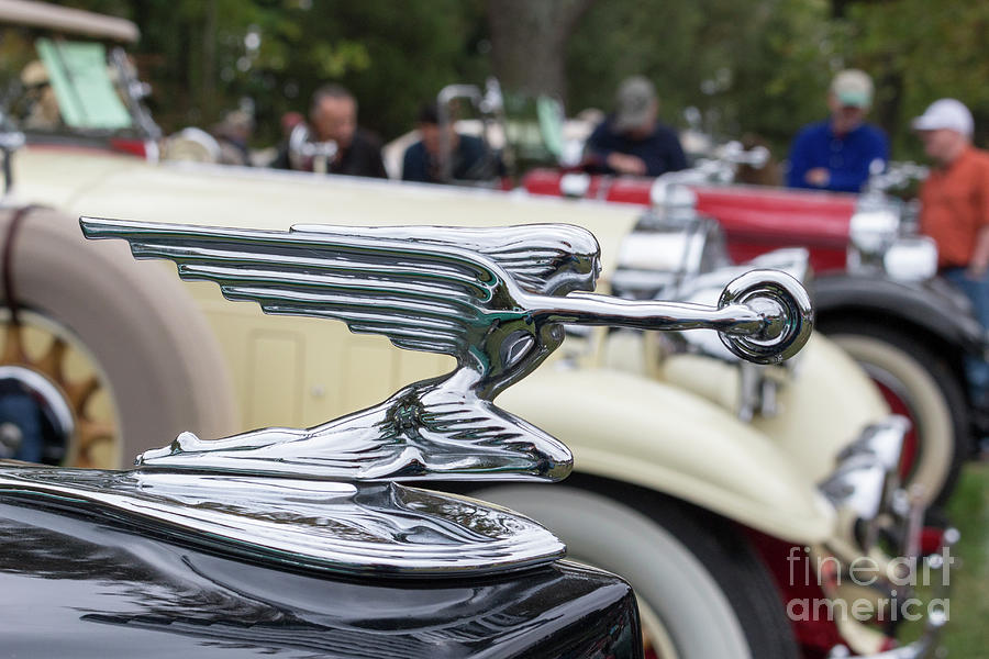 Hood ornament on a 1920s Packard automobile at the 2014 Rockvil Photograph by William Kuta