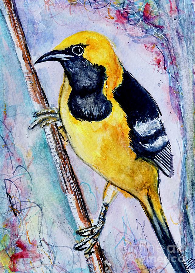 Hooded Oriole  Painting by Patty Donoghue